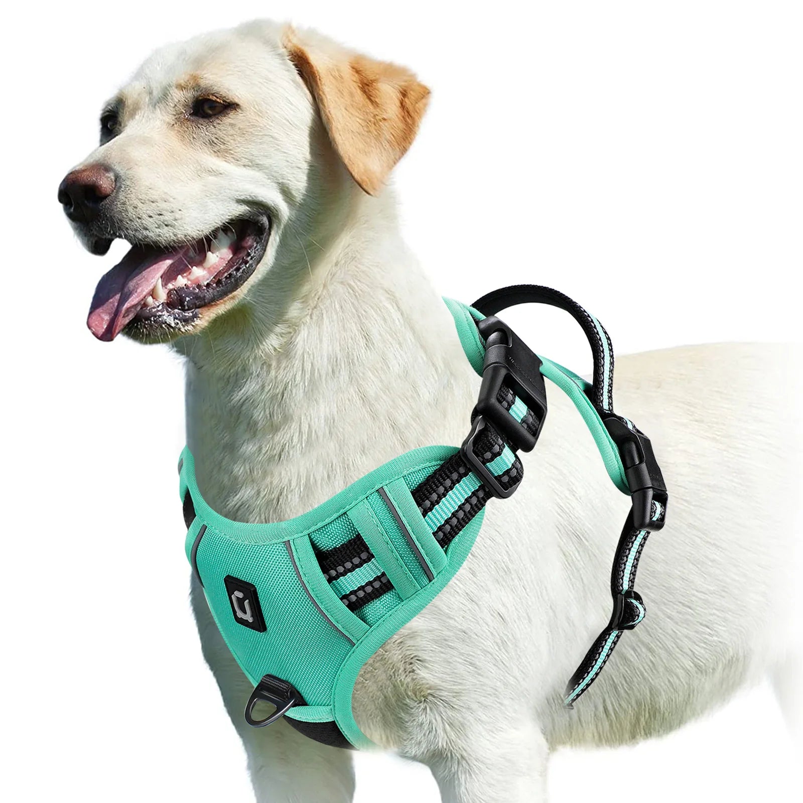 No-Pull Dog Harness