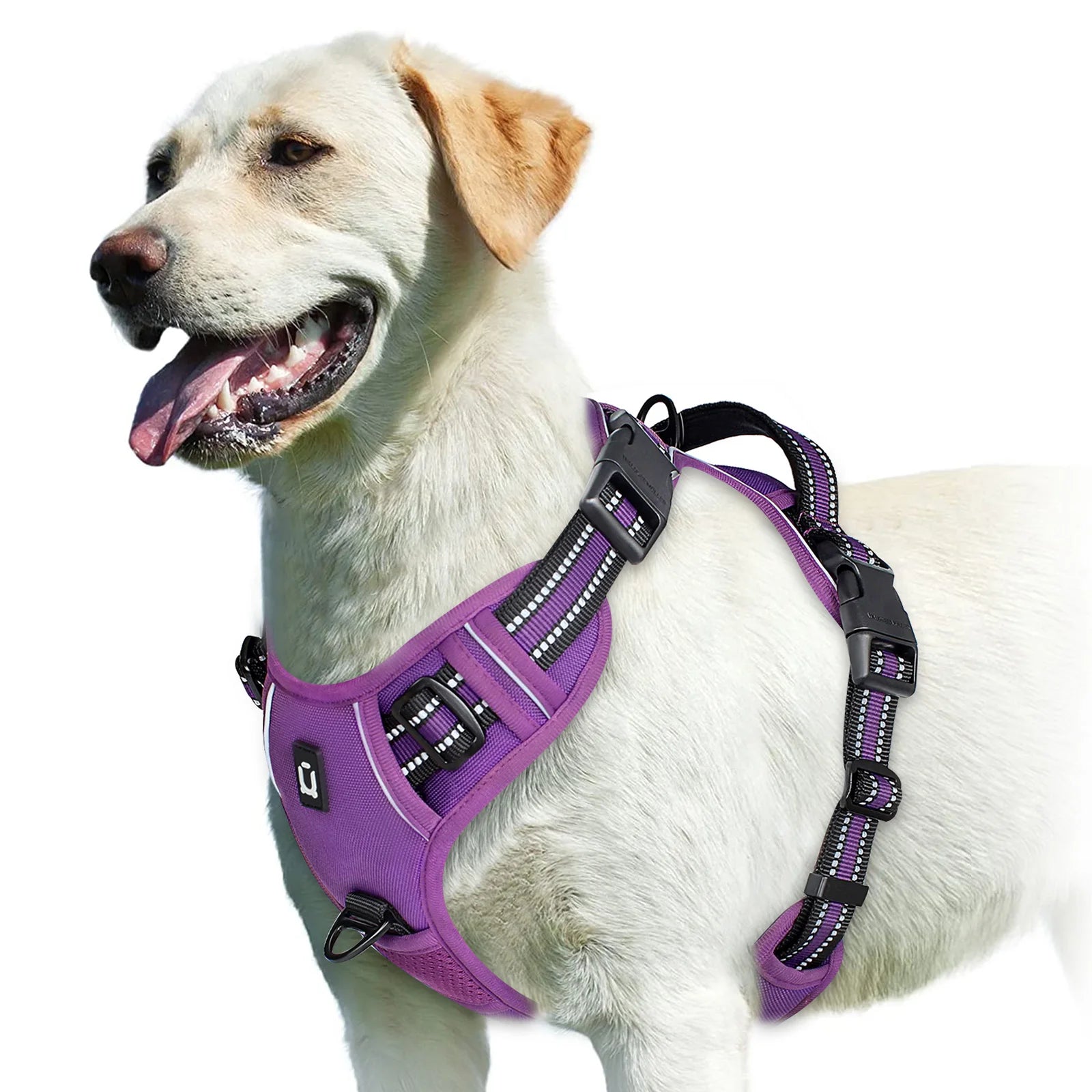 No-Pull Dog Harness